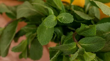 garnishing-instructions-image